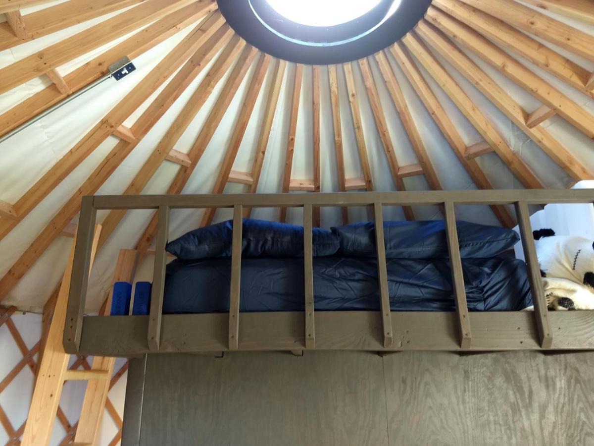 Livingston Manor Yurt Hotel Parksville Exterior photo